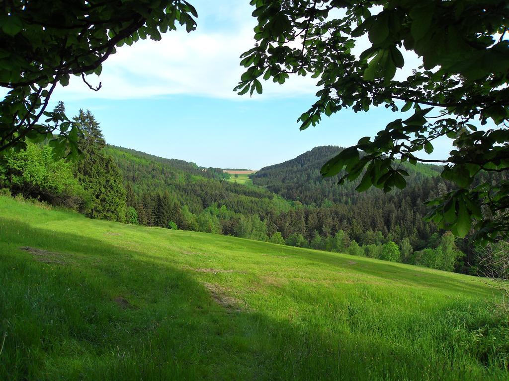 Ferienwohnung Wildenreuth Weidenberg Buitenkant foto