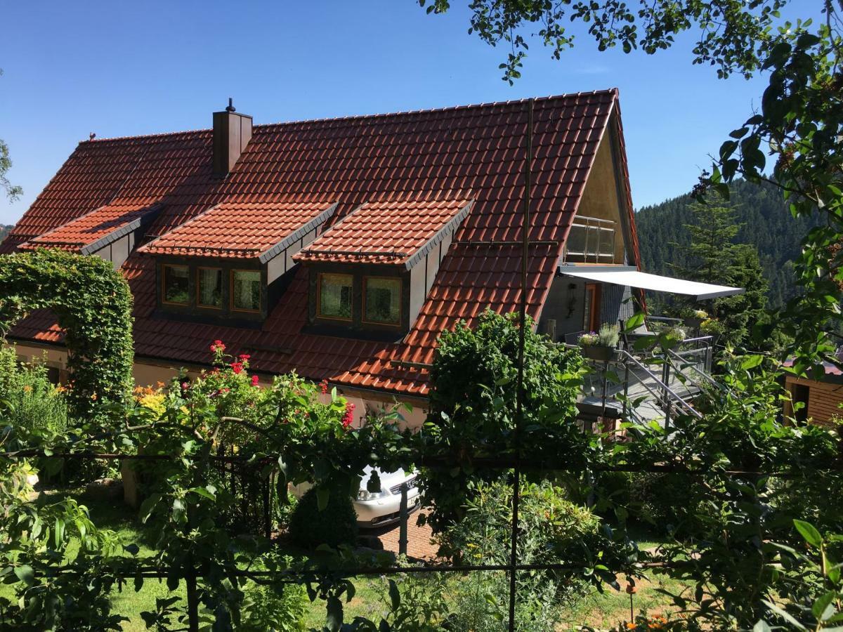 Ferienwohnung Wildenreuth Weidenberg Buitenkant foto