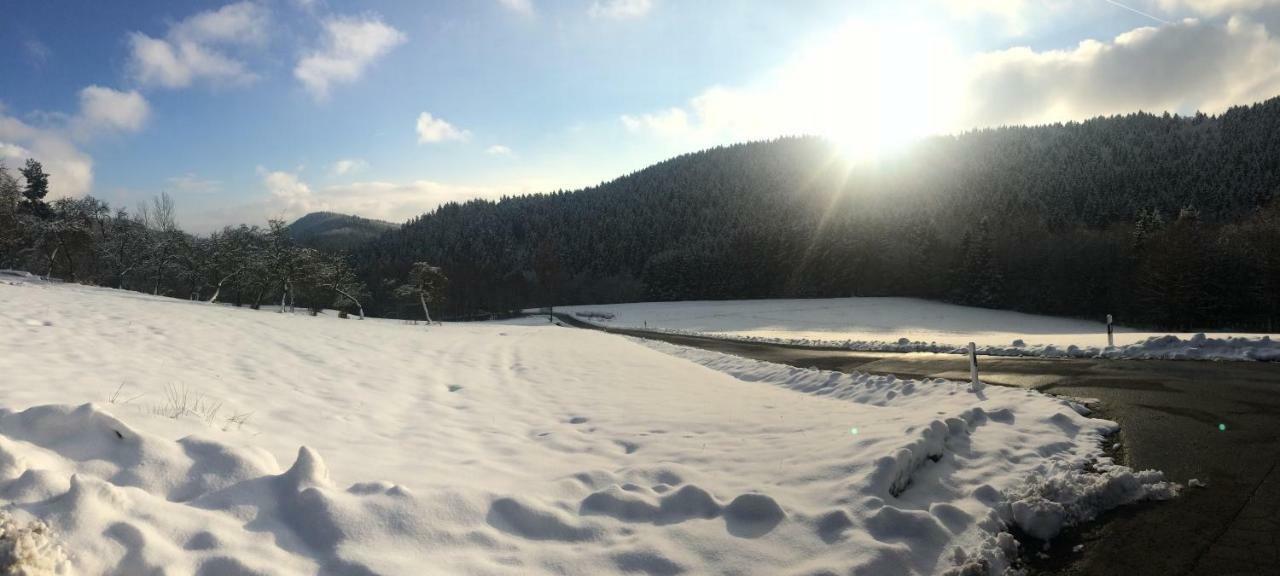 Ferienwohnung Wildenreuth Weidenberg Buitenkant foto